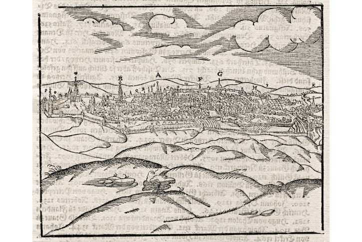 Löwen, Leuven, S. Münster, dřevořez, (1570)