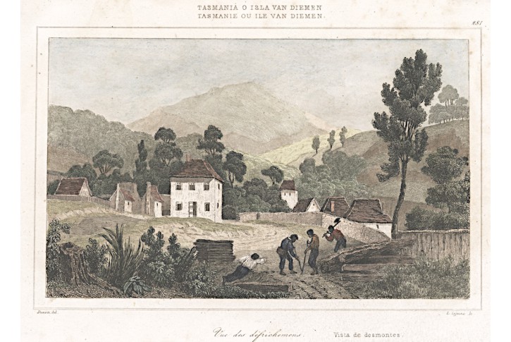 Tasmanie, Rienzi, kolor. oceloryt,1836