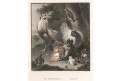 Slepice drůbež II., Payne, oceloryt, 1860