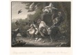 Slepice drůbež, Payne, oceloryt, 1860