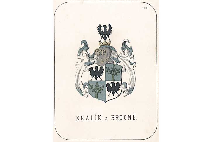 Kralik z Brocně, chromolitografie, 1880