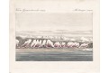 Baffinbay , Bertuch, kolor. mědiryt, 1816