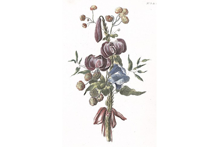 Kytice, Bonnet, kolor. crayon, 1776