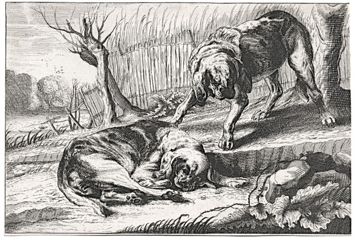 Psi, mědiryt, (18 stol.)