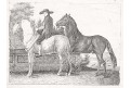 Koně , mědiryt, (1810)