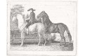 Koně , mědiryt, (1810)