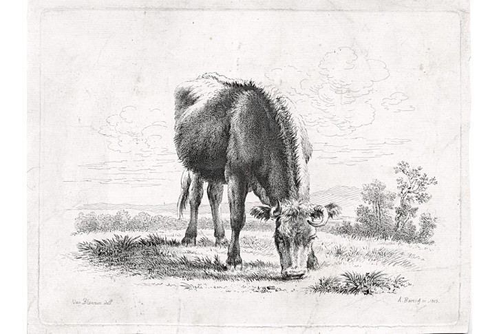 Bloemen Bartsch, Na pastvě, lept, 1805