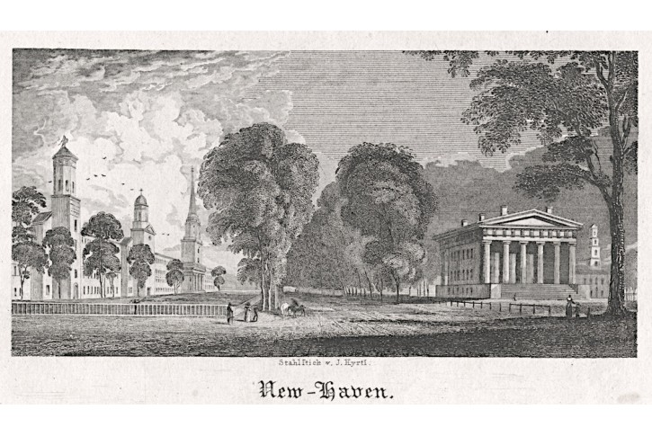 New Haven, Hyrtl, oceloryt, 1830