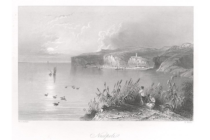 Nicopoli, Beattie, oceloryt, 1844