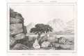 Mokatib, Le Bas, oceloryt 1840