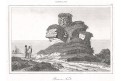 Australie obří  hnízdo,  Rienzi, oceloryt,1836