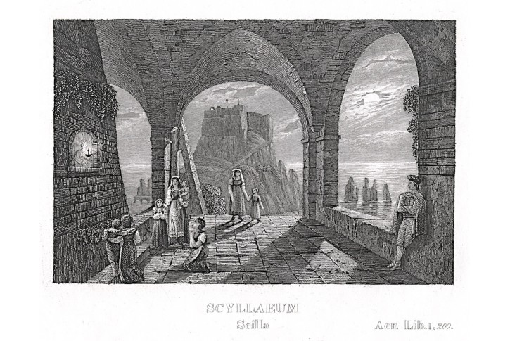 Scilla, mědiryt,(1830)