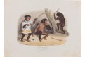 Zoo šimpanzi, kolorovaná litografie , 1835