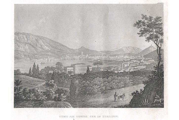 Como, Meyer, oceloryt, 1850