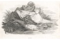 Ryba ryby úlovek, Wheble, mědiryt, 1808