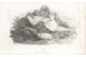 Ryba ryby úlovek, Wheble, mědiryt, 1808