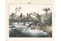 Hon lov na jelena , Neue ..kolor.litografie , 1837