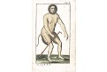 lidské monstrum socasem, kolor. mědiryt, (1790)