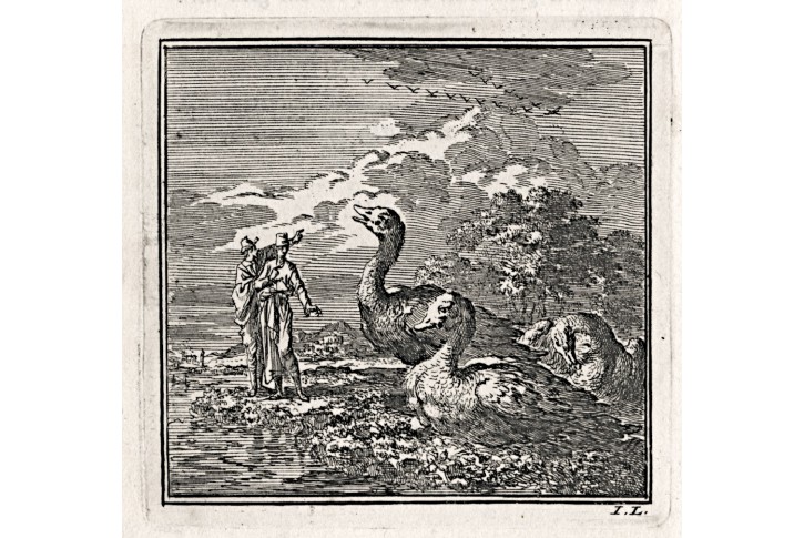 Husa Husy, Luyken, mědiryt, 1711