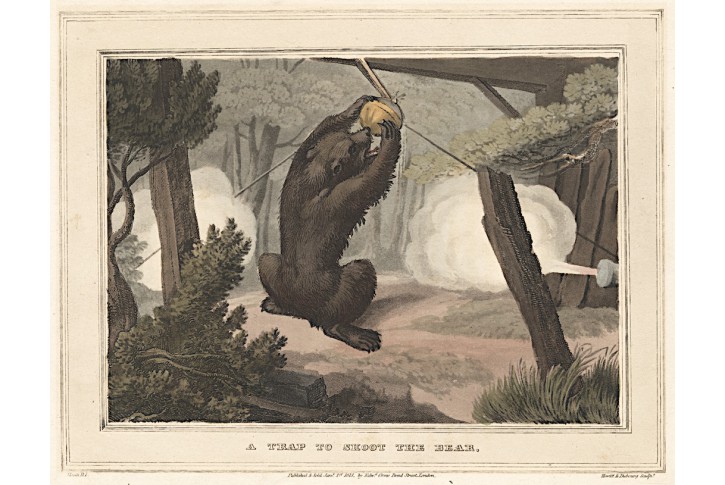 Lov na medvěda past, , akvatinta, 1813