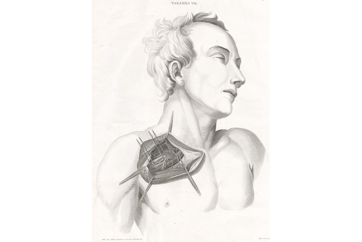 Anatomie, lept, 1825