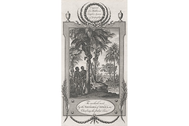 Černoši Afrika palmy, Middleton ,mědiryt , 1778