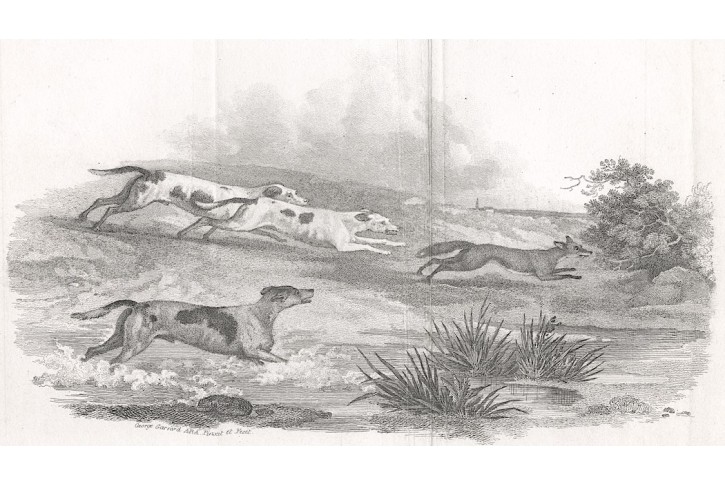 Hon na lišku, Garrard, mědiryt, 1810