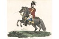 Prince of Orange, Evans, kolor. mědiryt, 1816