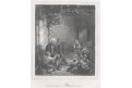 Houslista vesnický , LLoyd, oceloryt (1860)