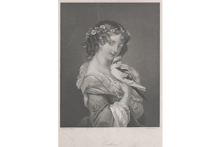 Eveline, Payne, oceloryt, (1860)