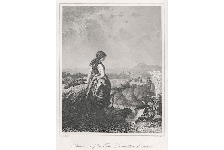 Žne sklizeň, Lloyd, oceloryt, (1860)