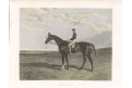 Kůň Horsea,  kolor. oceloryt, (1830)