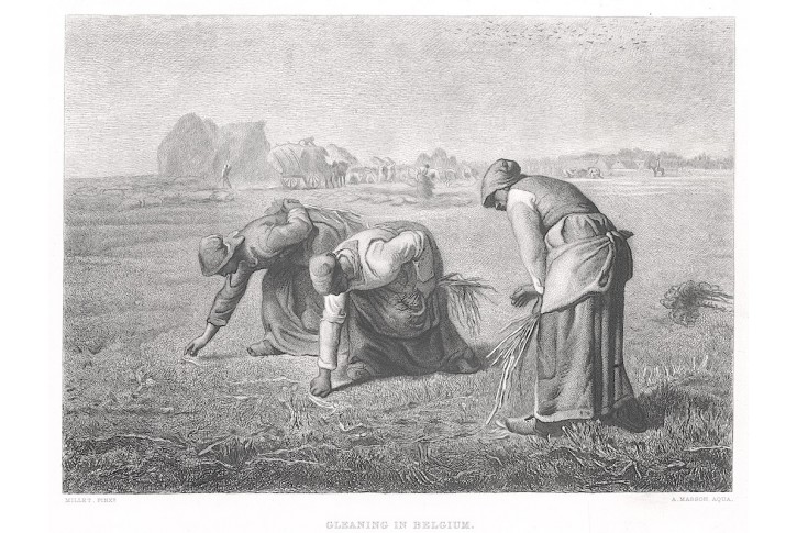 Sklizen podle Milleta, lept, 1875