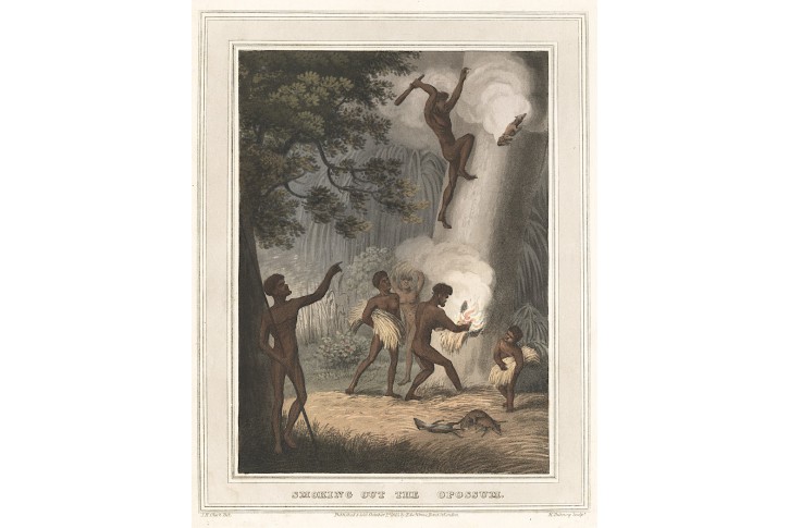 Vačice lov, Orme, akvatinta, 1813