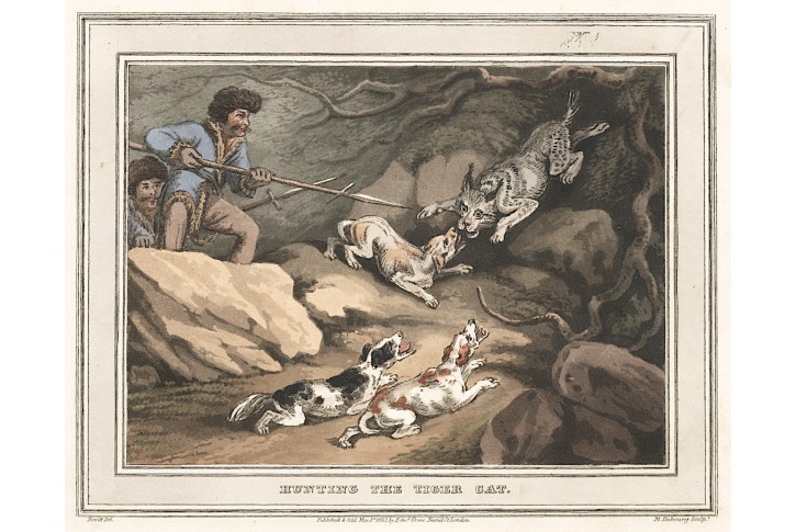 Ocelot lov, Orme, akvatinta, 1813