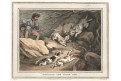 Ocelot lov, Orme, akvatinta, 1813