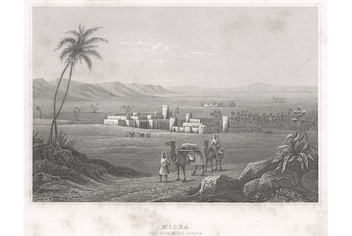 Misda Sahara, Meyer, oceloryt, 1850