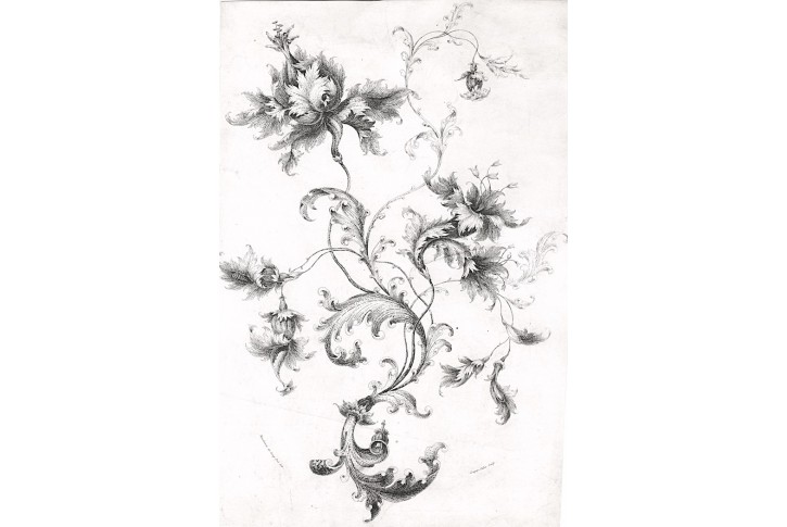 Ornament květinový, Comp.-Calix, lept, (1840)