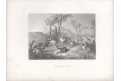 Nubijský pasák, Payne, oceloryt, 1850
