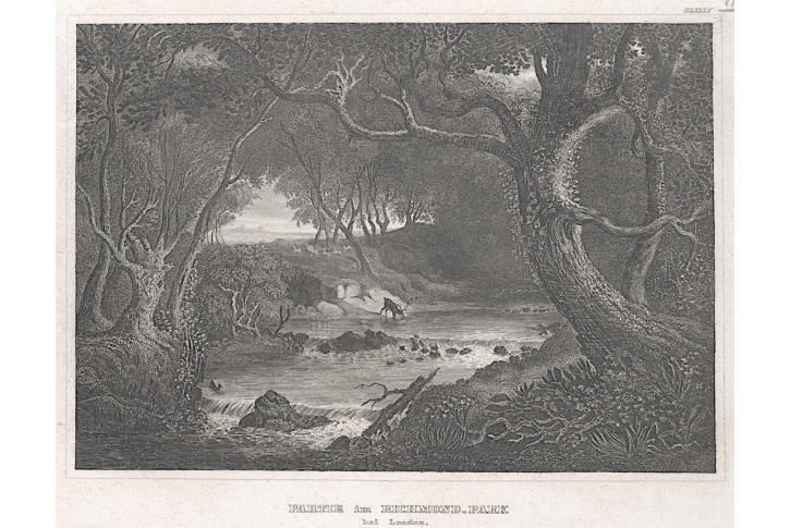 London Richmond Park , Meyer, oceloryt, 1850