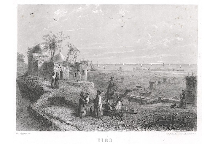 Tiro Guinea, oceloryt 1860