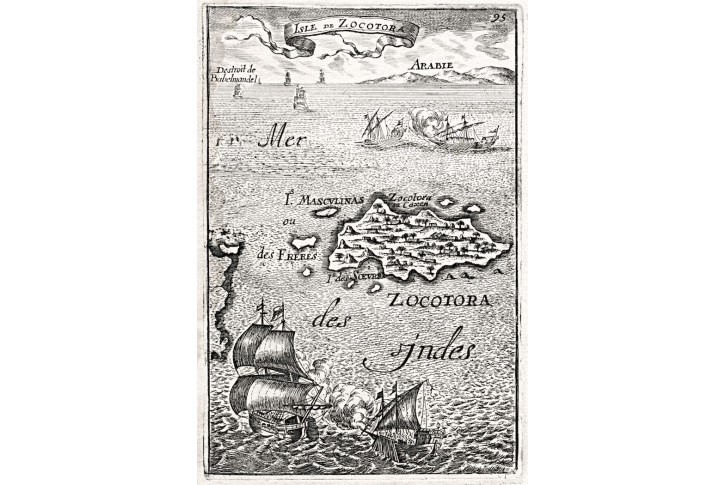 Socotra Jemen, Mallet, mědiryt, 1719
