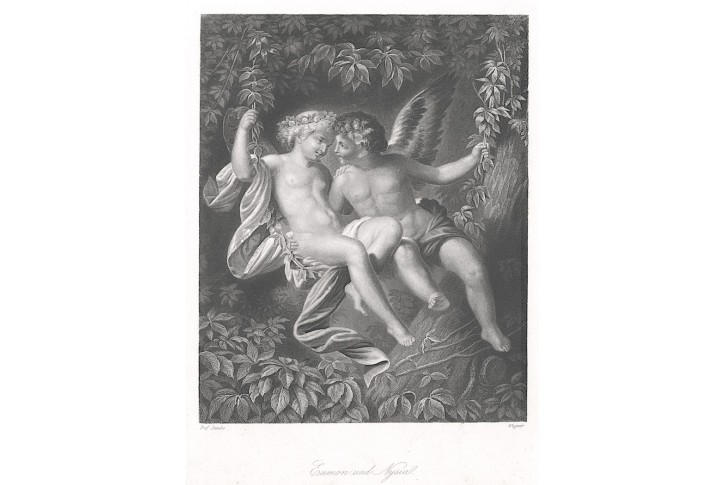 Eumon a  Nysia, Payne, oceloryt 1860