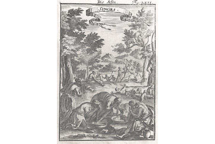 Afrika opice napodobují,  Mallet, mědiryt, 1719