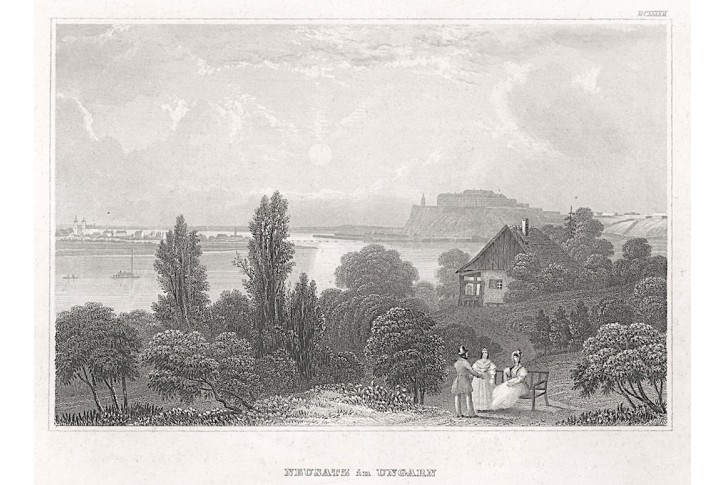 Novi Sad, Meyer, oceloryt, 1850