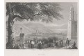 Celje cillii, Seidl, oceloryt, 1841