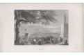 Celje cillii, Seidl, oceloryt, 1841