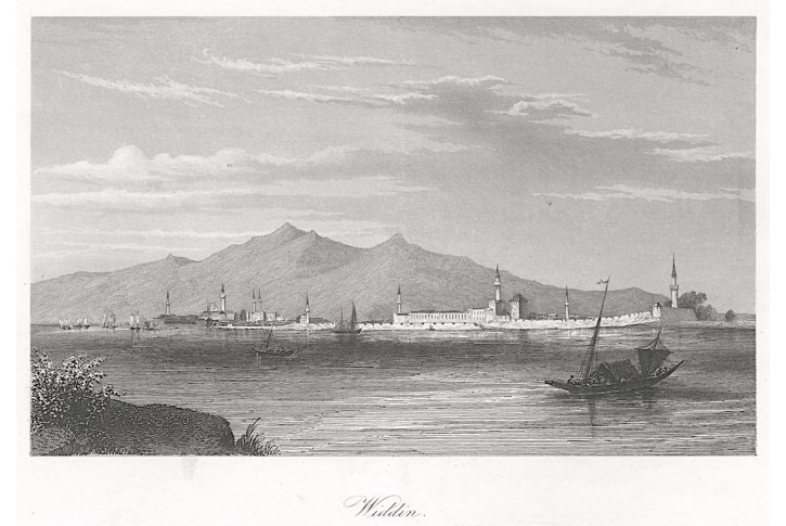 Vidin, oceloryt, (1850)