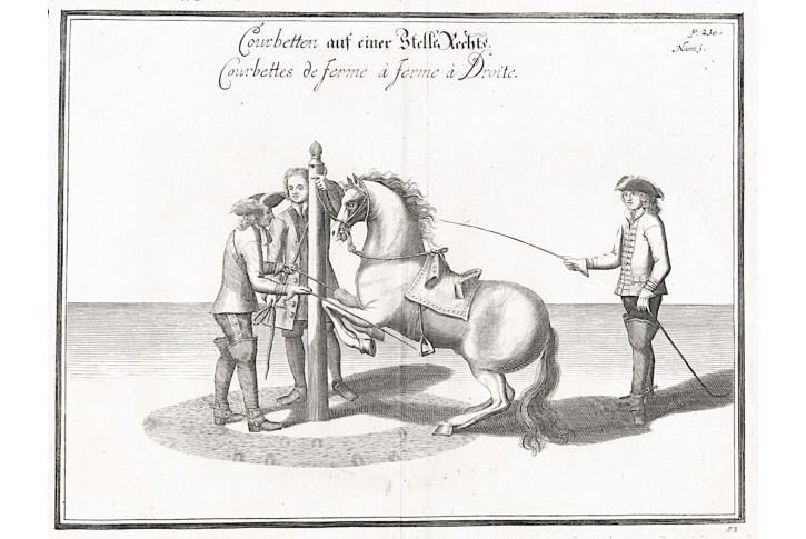 Jezdecká škola VI.,Cavendisch, mědiryt, (1700)