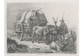 Klein J.A., Kůň s vozem, lept , (1850)
